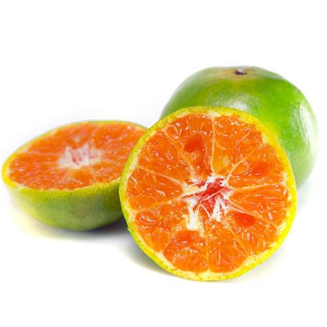 Citrus Aurantium - Vitajoy Biotech