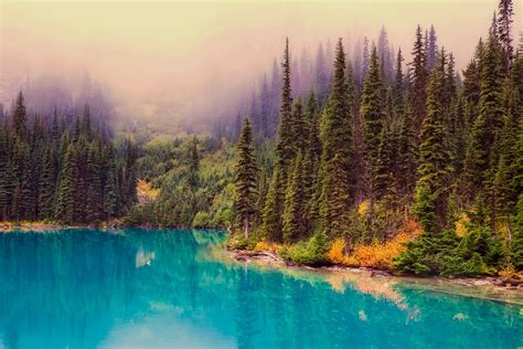 Photo Of Blue Water Lake And Pine Trees At Foggy Daytime Hd Wallpaper