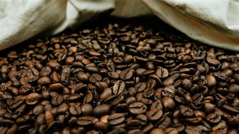 Check spelling or type a new query. Wallpaper coffee beans, coffee, beans, macro, brown hd ...