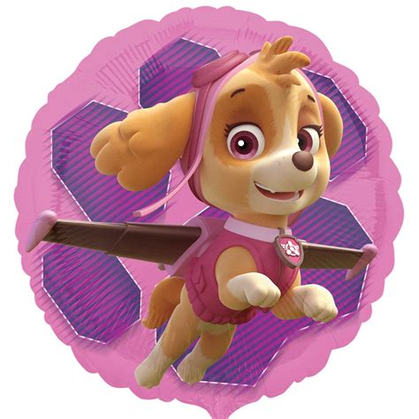Paw Patrol Pink Skye And Everest Standard Foil Balloons S60 5 Pc