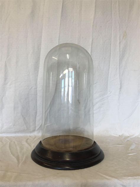 Glass Bell Dome 20inch E Carrara And Sons