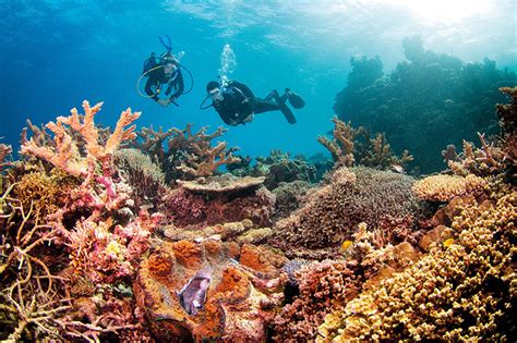 Great Barrier Reef Dive Freedom Destinations