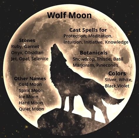 Wolf Moon Magic Wolf Moon Cold Moon Moon Witch