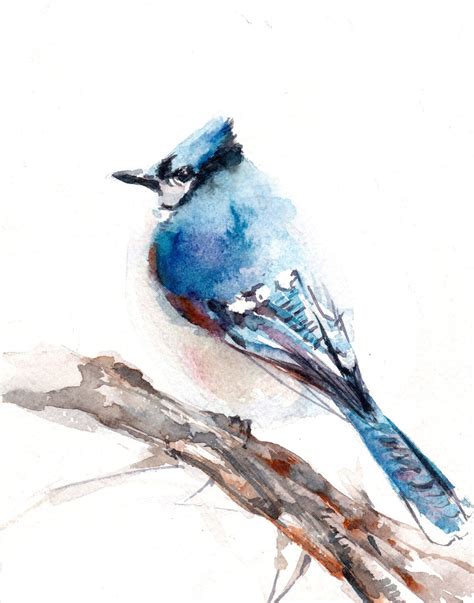 Blue Jay Bird Watercolor Painting Art Print Watercolour Wall Art Bird