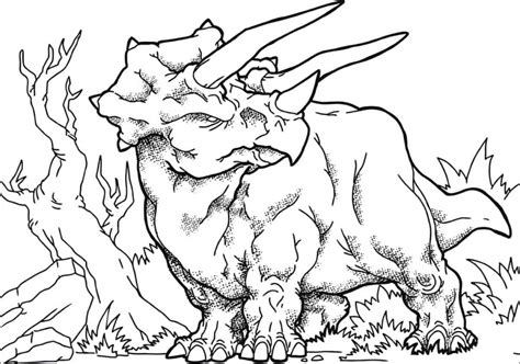 Desenhos De Triceratops Dinossauro Para Colorir E Imprimir Porn Sex