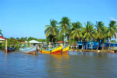 Discover Suriname Your Ultimate Guide To The Top Tourist Destinations
