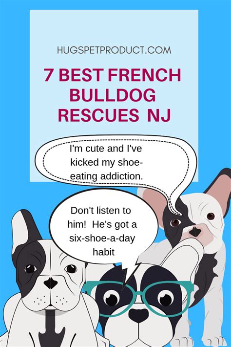 The french bulldog has the appearance of an active, intelligent, muscular dog of heavy bone, smooth coat, compactly built, and of medium or small structure. 11 Best French Bulldog Rescues NJ | French bulldog rescue ...