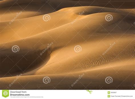 Sand Dunes In Nubra Valley Cold Desert Of Ladakh Royalty Free Stock