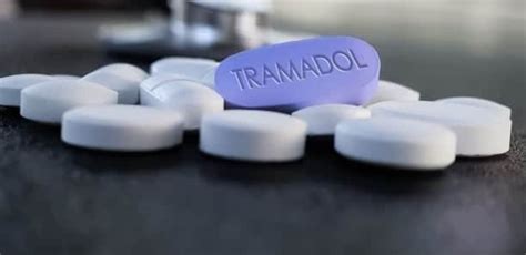 Démantèlement d un Réseau de Trafic de Tramadol Arrestation de Chefs