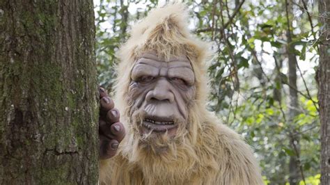 Bigfoot Display Beheaded In Utah Iheartradio Coast To Coast Am With