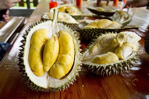 Or actually, i wasn't reporting. Penang Durian Festival - VisionKL