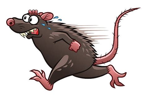 Scary Rat Illustrations Royalty Free Vector Graphics And Clip Art Istock
