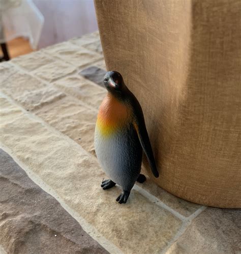 Sneaky Penguin Blank Template Imgflip