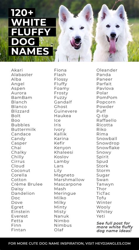 100 Wondrous White Dog Names For Your Light Furred Four Footer Artofit