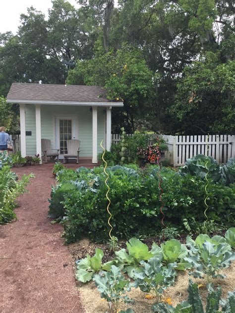 We're passionate about helping home gardeners to get more out of their gardens and enjoy the fruits. Vegetable Gardening for Central Florida ... in 2020 (With ...