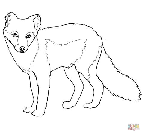 Arctic Fox Summer Coat Coloring Page Free Printable