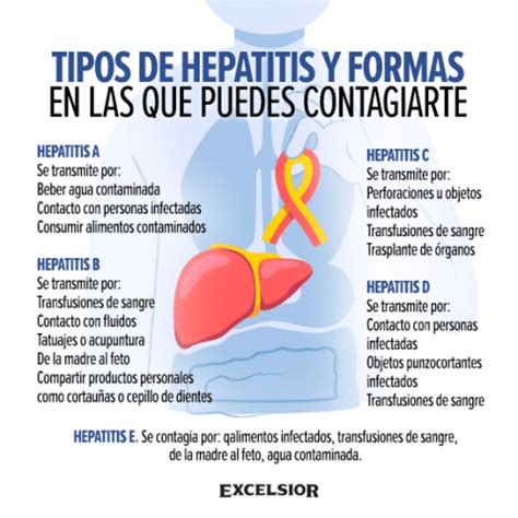 D A Mundial Contra La Hepatitis Tipos Y Formas En Las Que Puedes Contagiarte