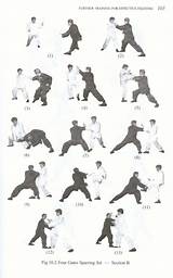 Images of Kung Fu Stances