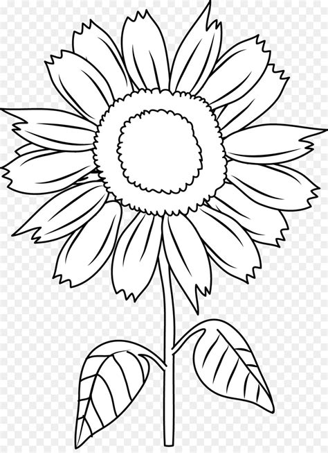 Black And White Clip Art Black Sunflower Cliparts Png