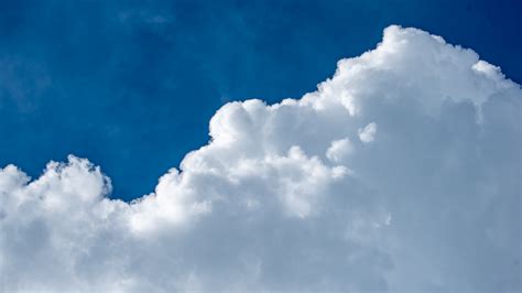 Cumulus Congestus Clouds