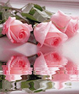 We did not find results for: Ini Dia! Gambar Bunga Bunga Cantik Bergerak yang Wajib ...