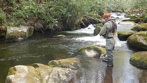 Fly Fishing In Great Smoky Mountains National Park