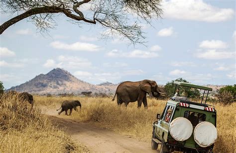 Safari Holidays And Tours The Adventure People