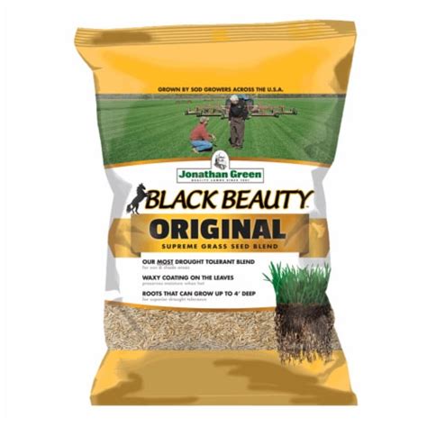 Jonathan Green Black Beauty Original Lawn Yard Grass Seed Mix Pounds Piece Qfc