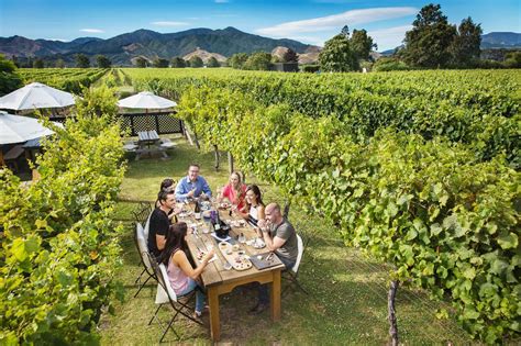 Marlborough Wine And Beer Tasting Tours Hop N Grape 2022