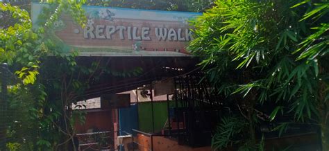 Taman yang dibina di atas tanah berkeluasan 11 ekar ini mempunyai beberapa tema, iaitu buterfly aviary, reptile walk. Pergi Taman Rama-rama & Reptilia Melaka - Cerita Ceriti ...