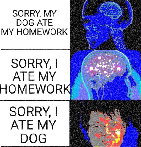 Sorry My Homework Ate My Dog Rmemes