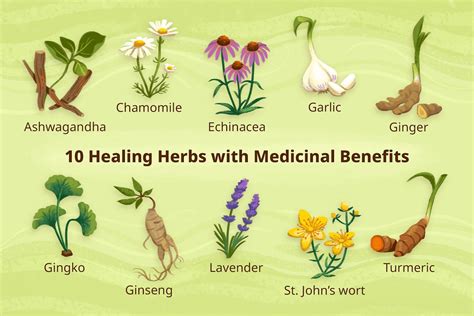 Health Benefits Of Healing Herbs
