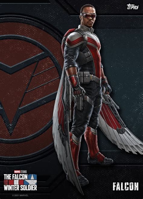 19 Falcon And The Winter Soldier Suit