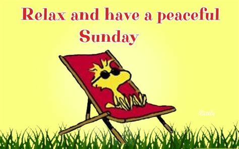 Relax And Have A Peaceful Sunday Pictures Photos And Images For