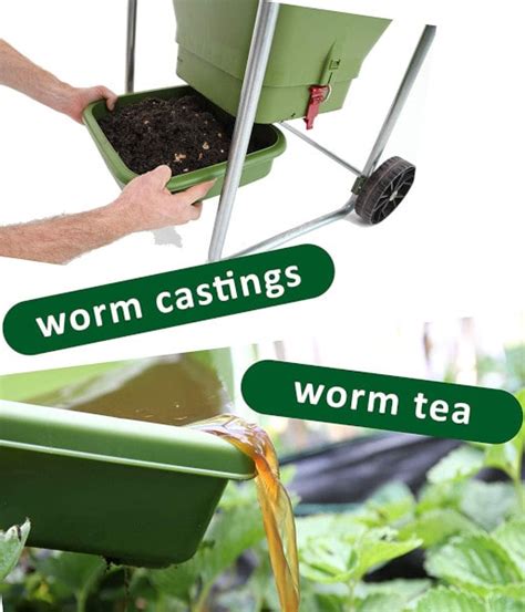 Best Worm Composter The Very Best Worm Compost Bins Ranked