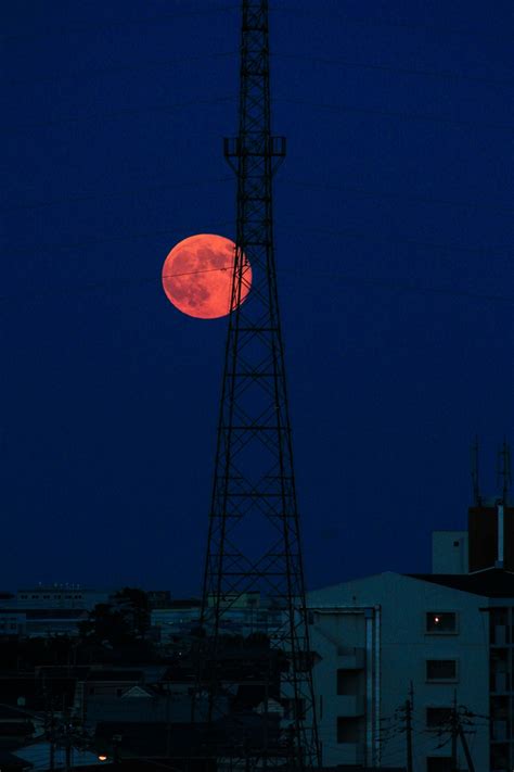 無料画像 光 空 日没 夜 超高層ビル 都市景観 夕暮れ イブニング 反射 タワー マスト 闇 青 街路灯