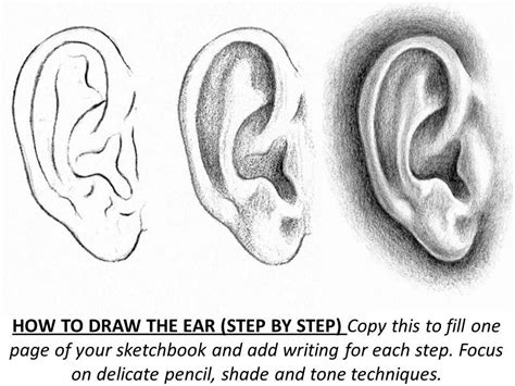 An Ear Drawing Is Shown With The Words How To Draw The Ear Step By Step