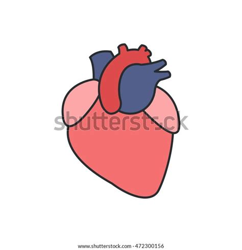Human Heart Vector Illsutration Stock Vector Royalty Free 472300156