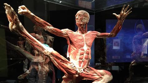 5% off wild & delicious premium whitefish + free shipping on orders $99+. Body Worlds Vital opens in Calgary this weekend - Calgary ...