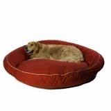 Raised Pet Beds For Dogs