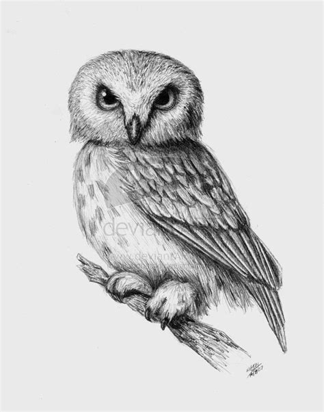 Owl By ~mrsbobetski On Deviantart Owl Tattoo Drawings Owls Drawing