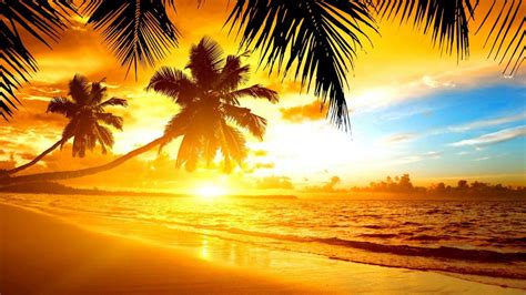 Tropical Island Sunset Beach With Palm Trees Wallpaper Hd