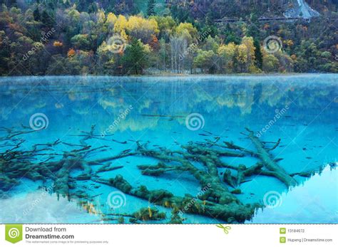 Autumn Tree Lake In Jiuzhaigou Stock Photo Image Of China Background