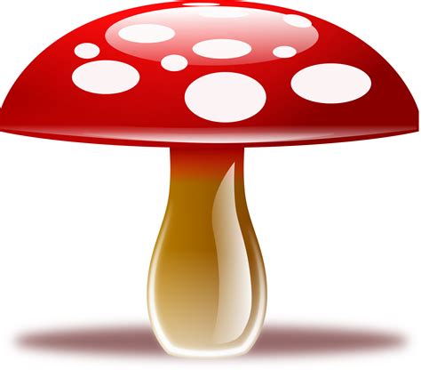 Mushroom Png Transparent Images Png All Clipart Best Clipart Best