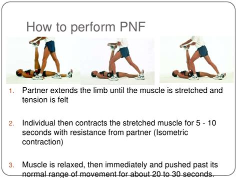 Pnf Stretching Proprioceptive Neuromuscular Facilitation Bodywork