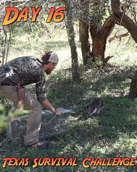 Day 16 Of The 30 Day Survival Challenge Texas Catch And Cook Rabbit In Texas Texas Day