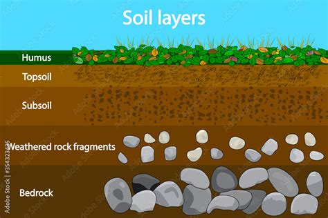 Soil Layers Diagram Showing Soil Layers Soil Layer Scheme With Grass