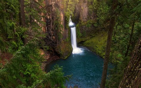 Trail Of 10 Falls Silver Falls State Park Oregon Cascades River