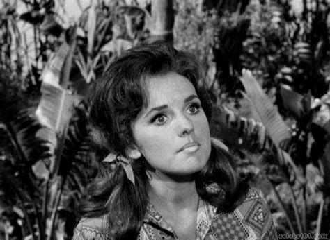 Dawn Wells Picture Dawn Wells Actresses Photo