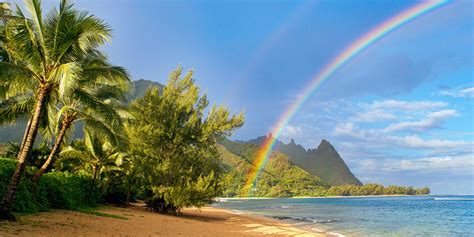 We hope this will help you to understand hawaiian better. Hawaii House Advances Same-Sex Marriage Bill, Sets Final ...